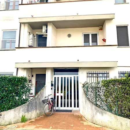 City House